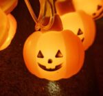 Gresskar Lyslenke - Bilde 2